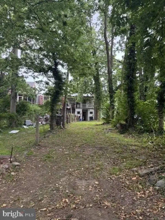 Picture 19
