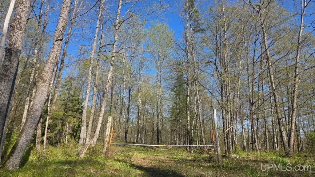 Picture 8