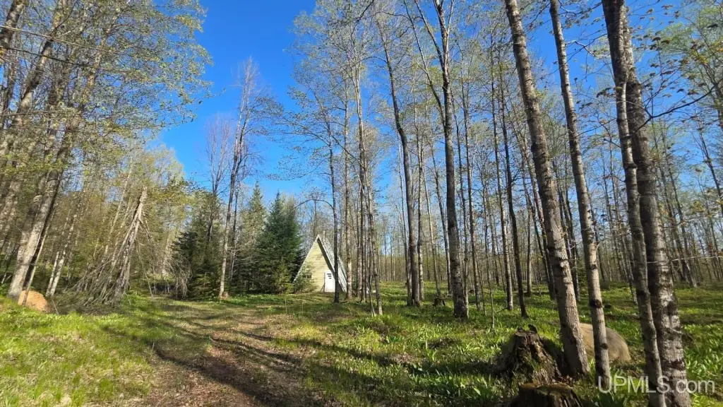 Picture 18