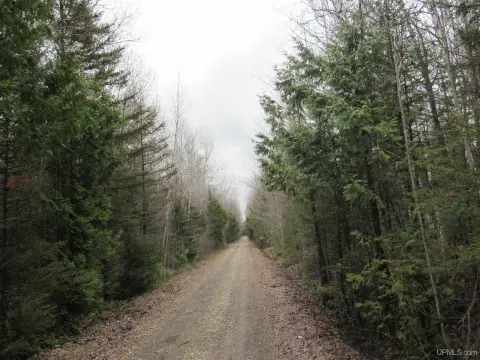 Wooded Recreational Land For Sale