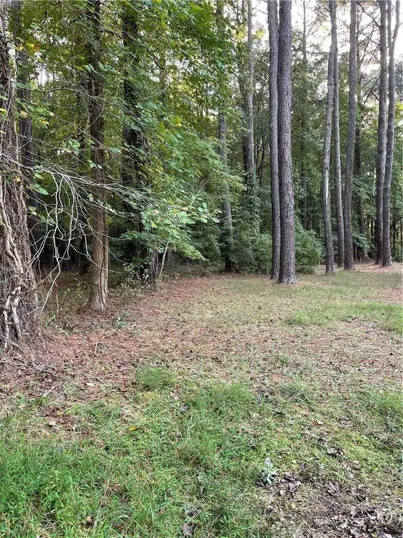 Picture 3