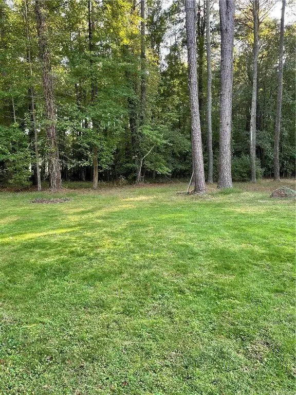 Picture 2