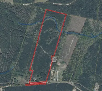 35+ Acre Hunting/Recreation Land