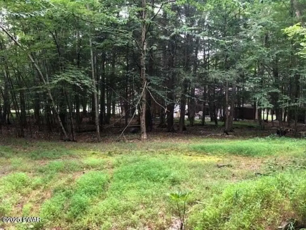 Picture 4