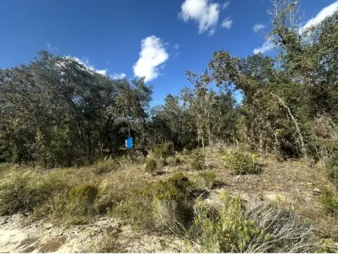 Residential Lot Near Highway 27