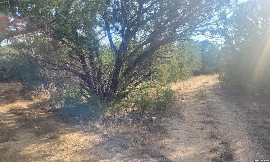 Picture 7