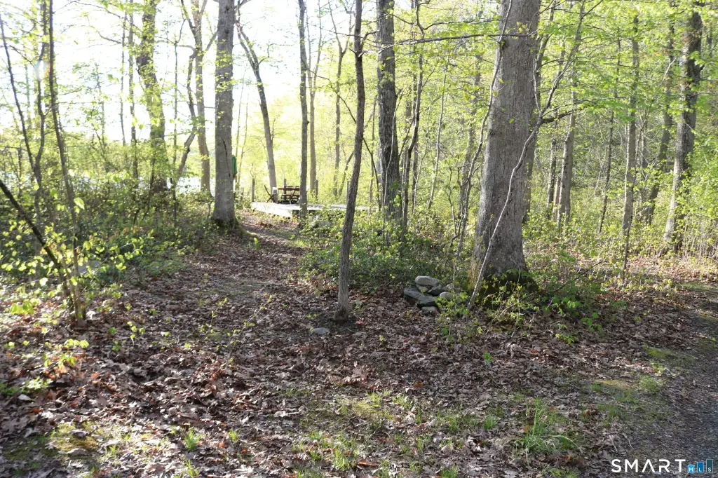 Picture 15