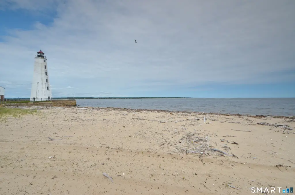 Picture 20