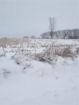 Prime Lot in Neillsville, WI