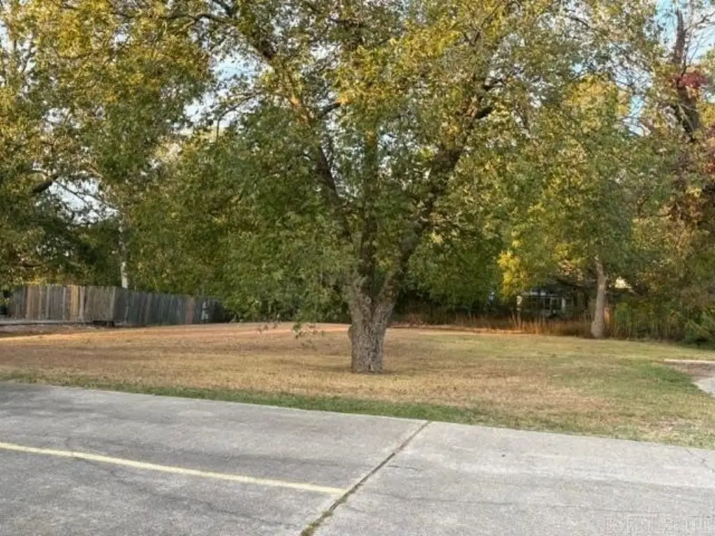 Picture 13