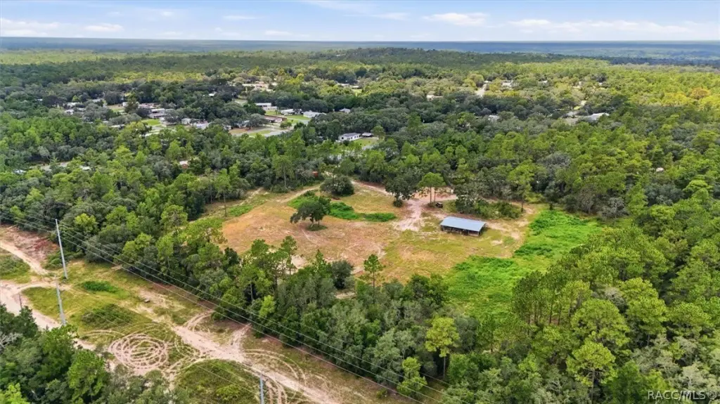 Picture 7
