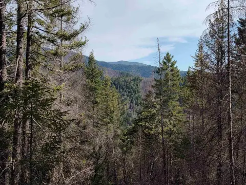 40 Acres in Gasquet, CA