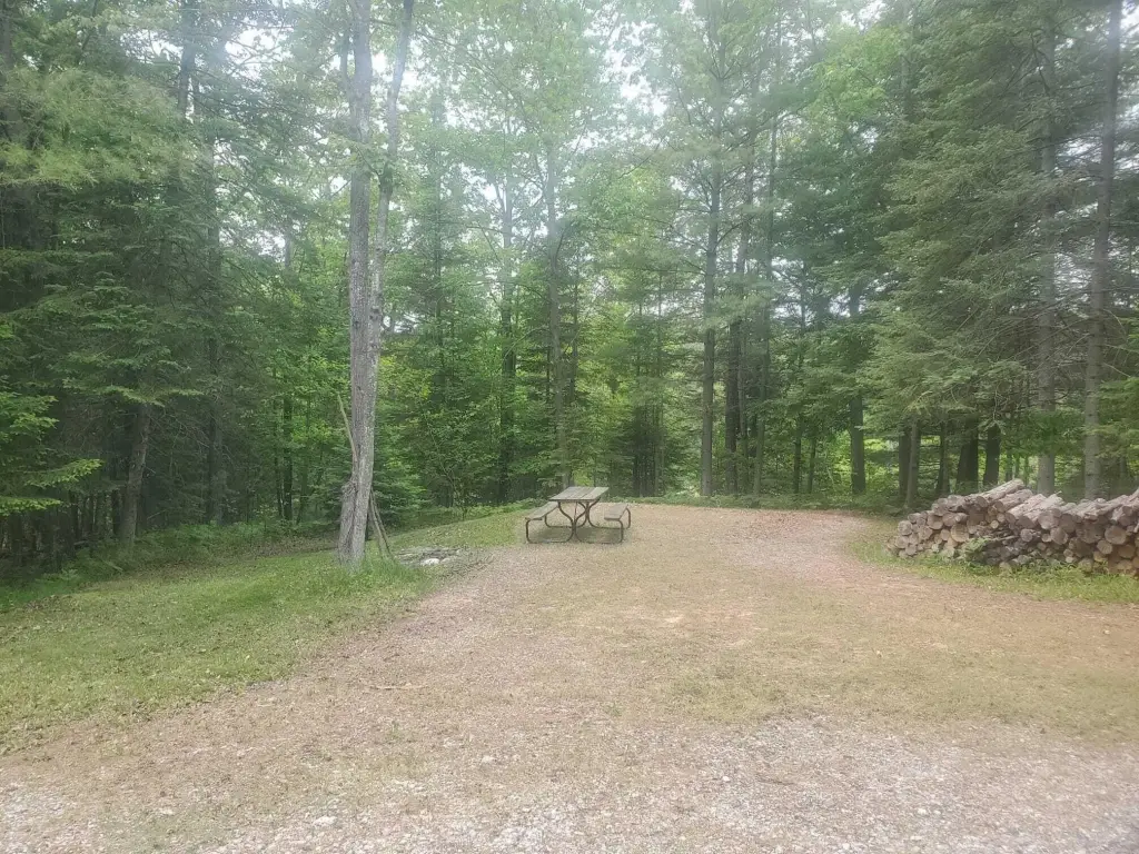 Picture 15