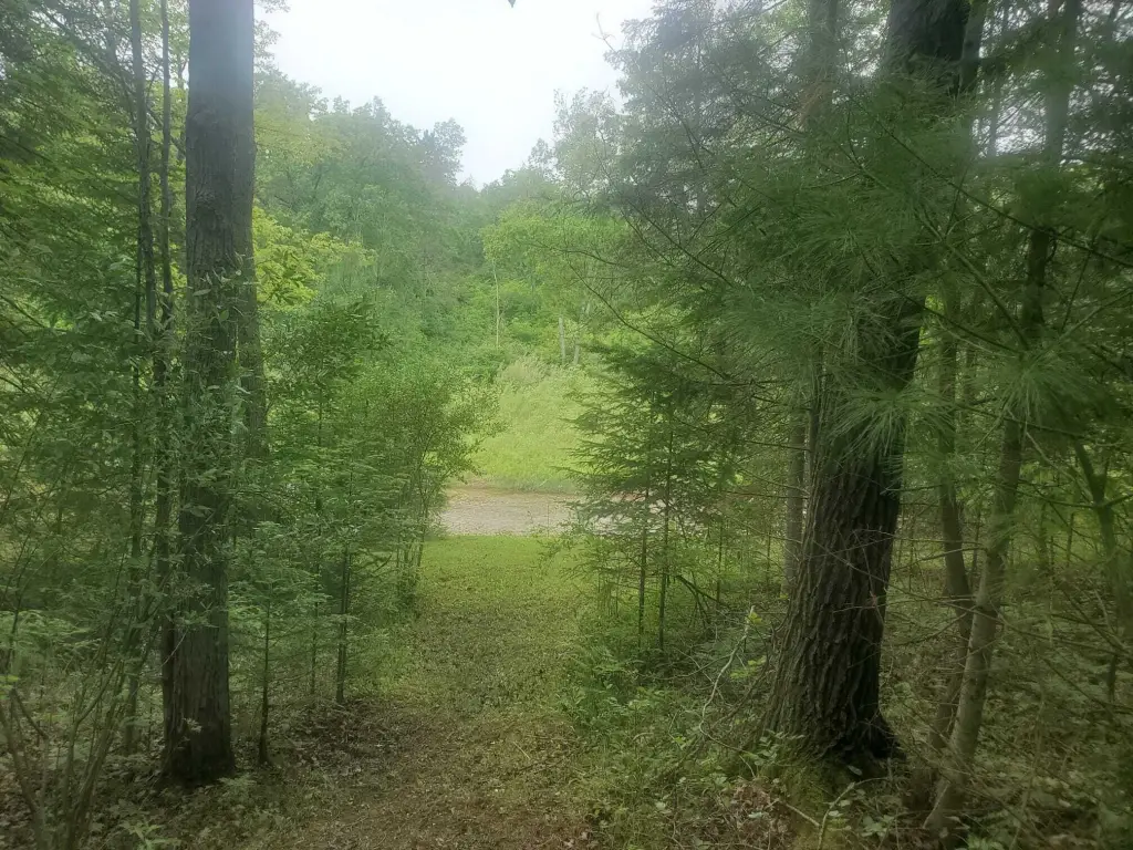Picture 16