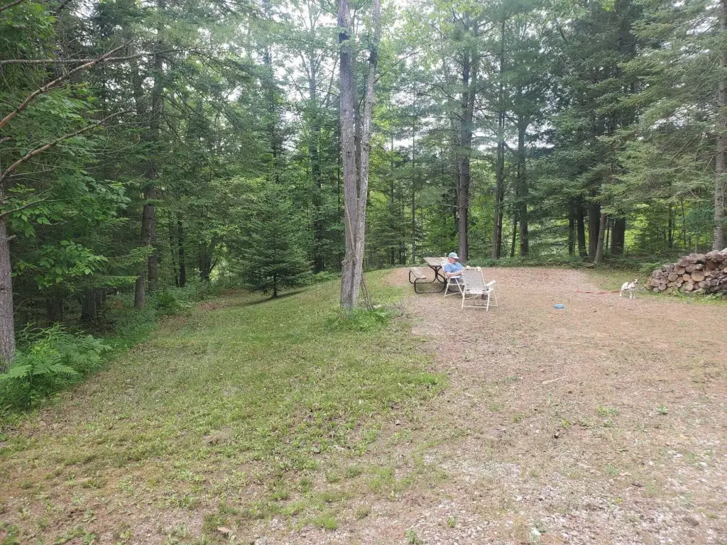 Picture 14