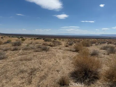 20 Acres in Rosamond, CA