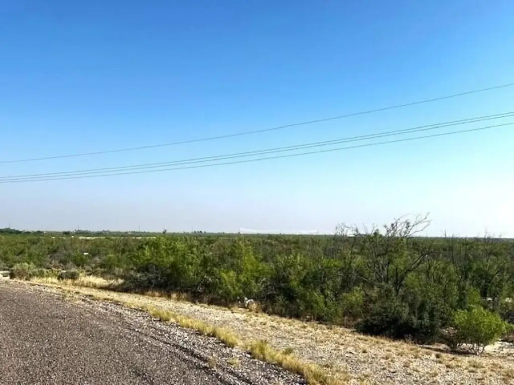 Picture 16