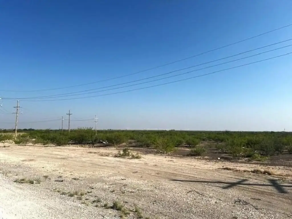 Picture 9