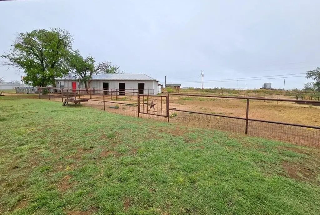 Picture 26
