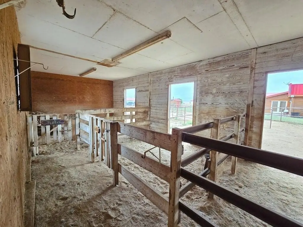 Picture 27