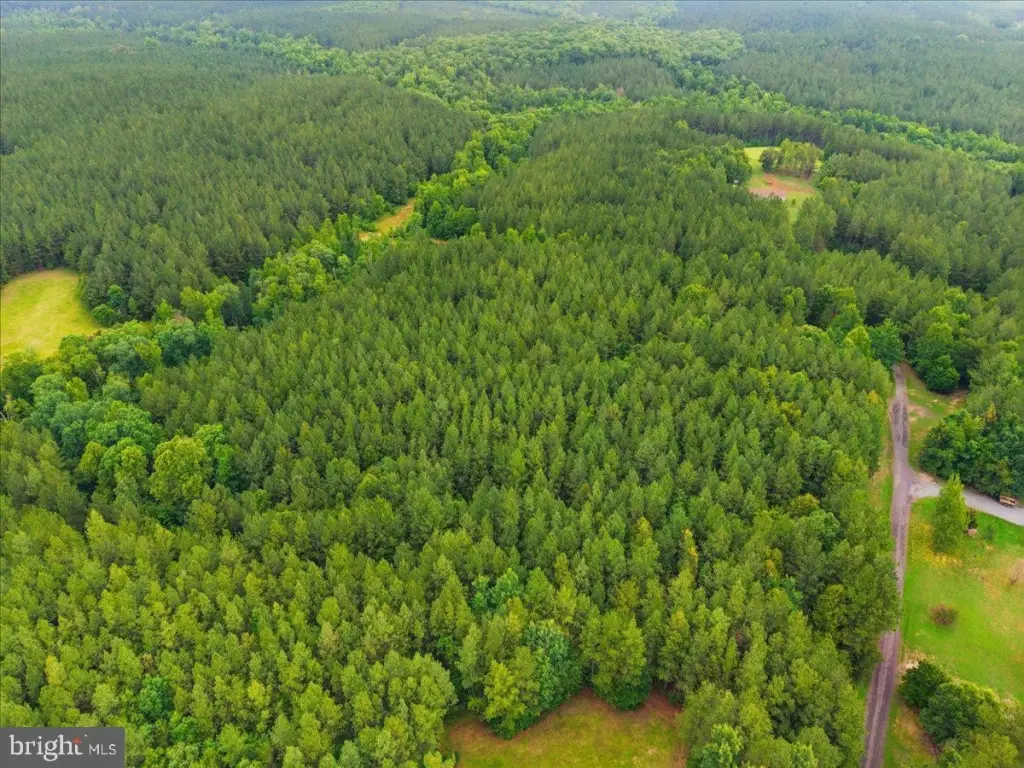 Picture 29