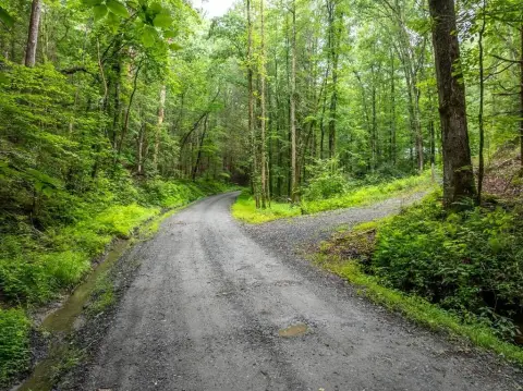 Ellijay Vacant Land for Sale