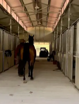 Brooksville Farm Training Center Rental