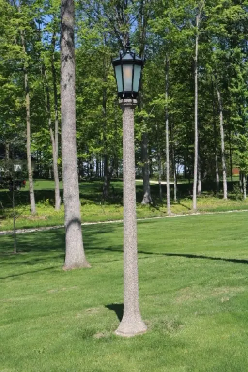 Picture 4