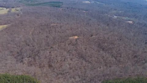 Stewart County Hunting and Recreational Land