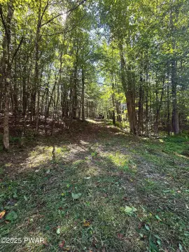 Residential Land in Damascus, PA