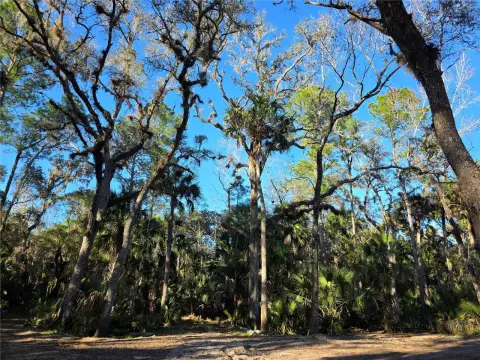 Waterfront Land on St. Johns River