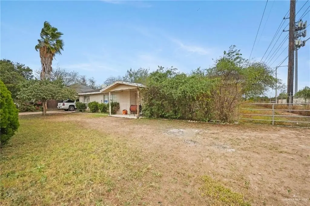 Picture 6