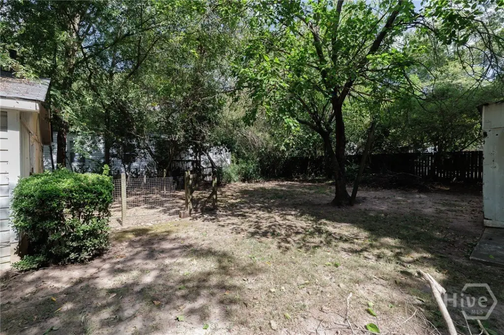 Picture 44
