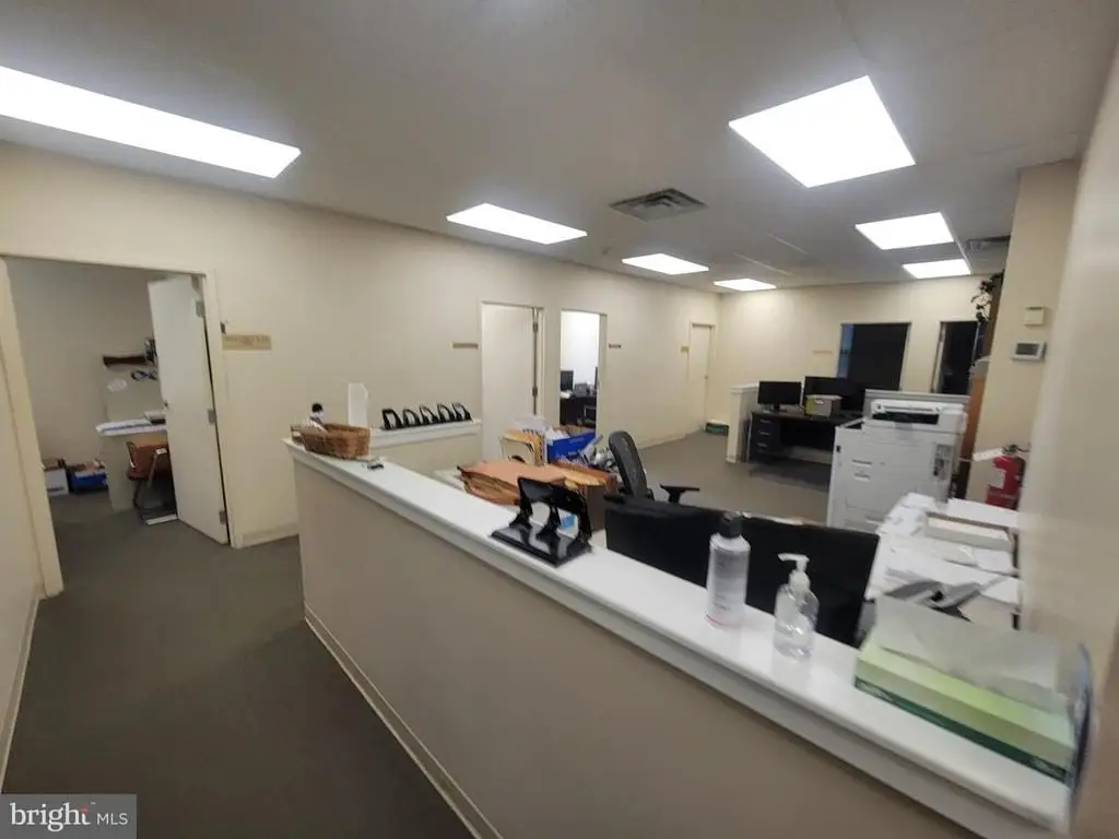 Picture 5