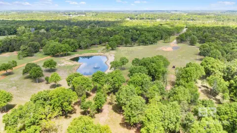 Creekfront Land with Pond
