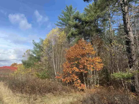 Wooded Land Near Connecticut River