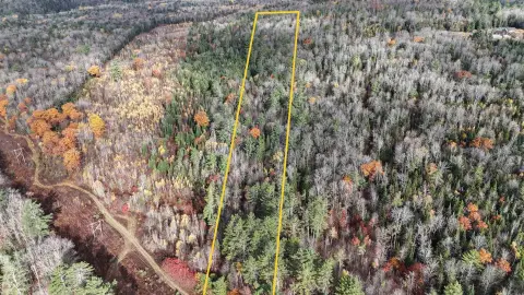 Concord, VT Wooded Land Parcel
