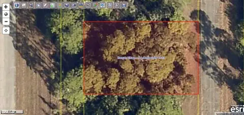 Residential Lot in Banyan Village