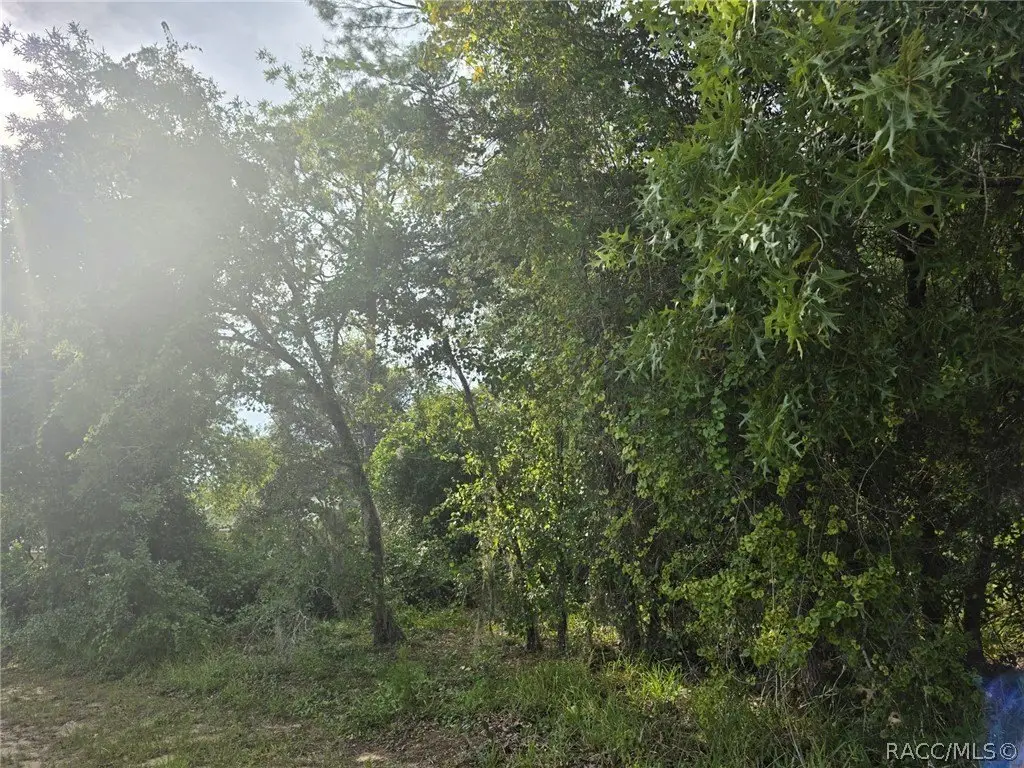 Picture 17