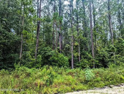 Keystone Heights 7.49-Acre Land Parcel