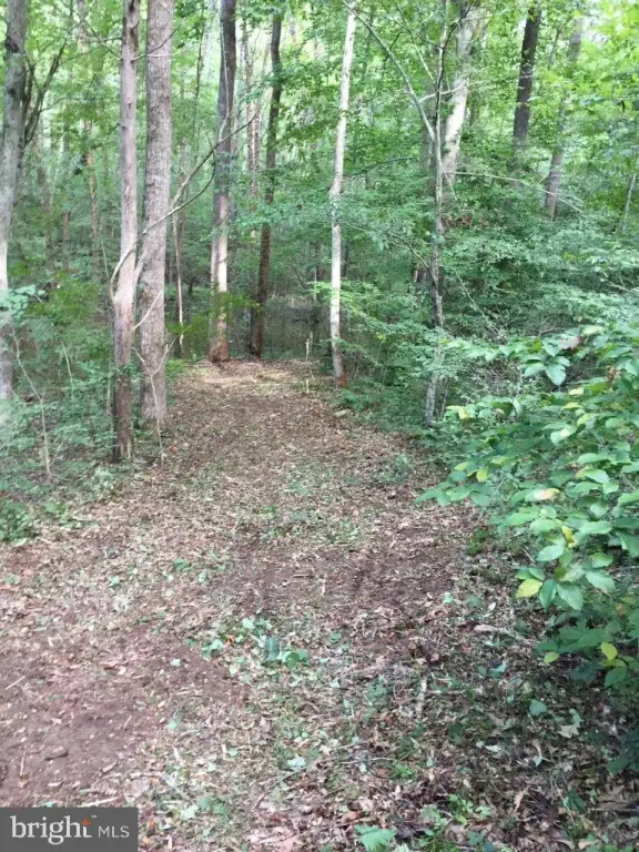 Picture 13
