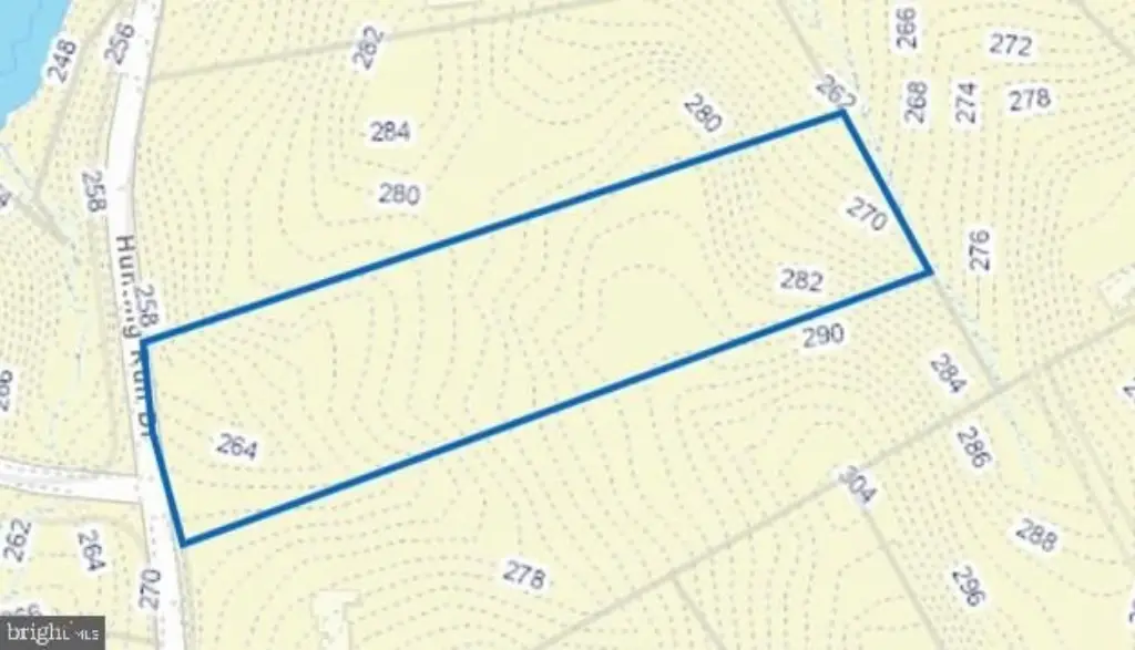 Picture 7