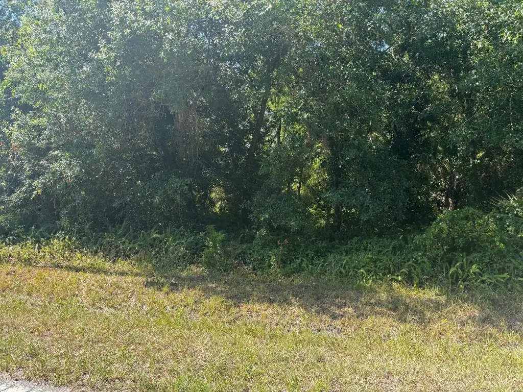 Picture 2
