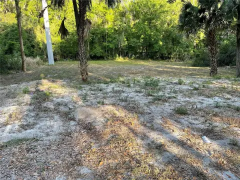 Cleared Lot Near State Park