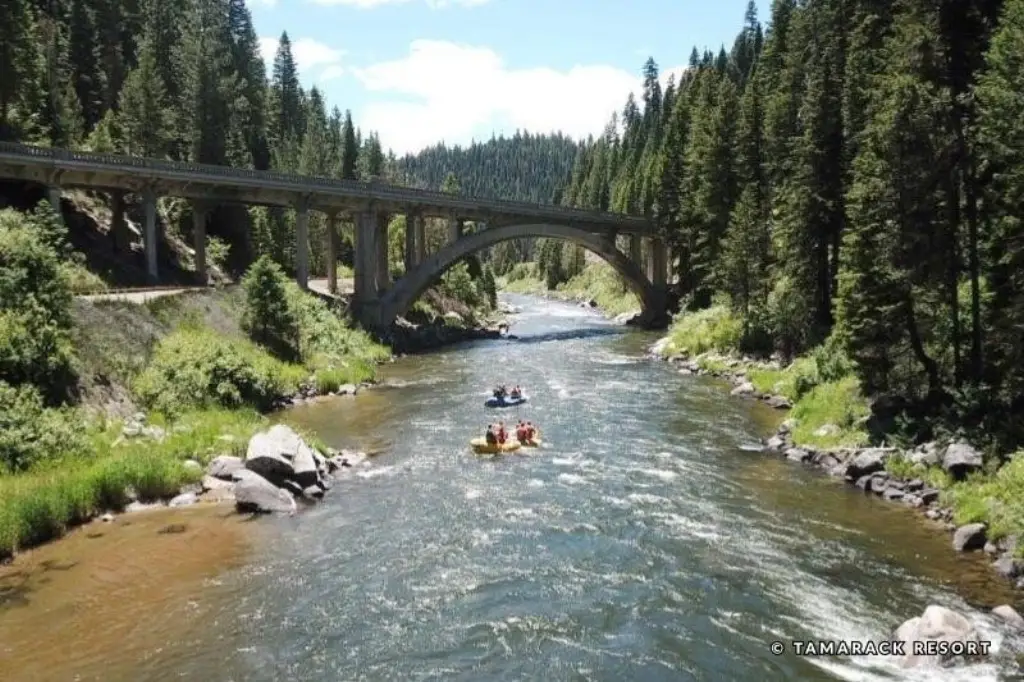Picture 24