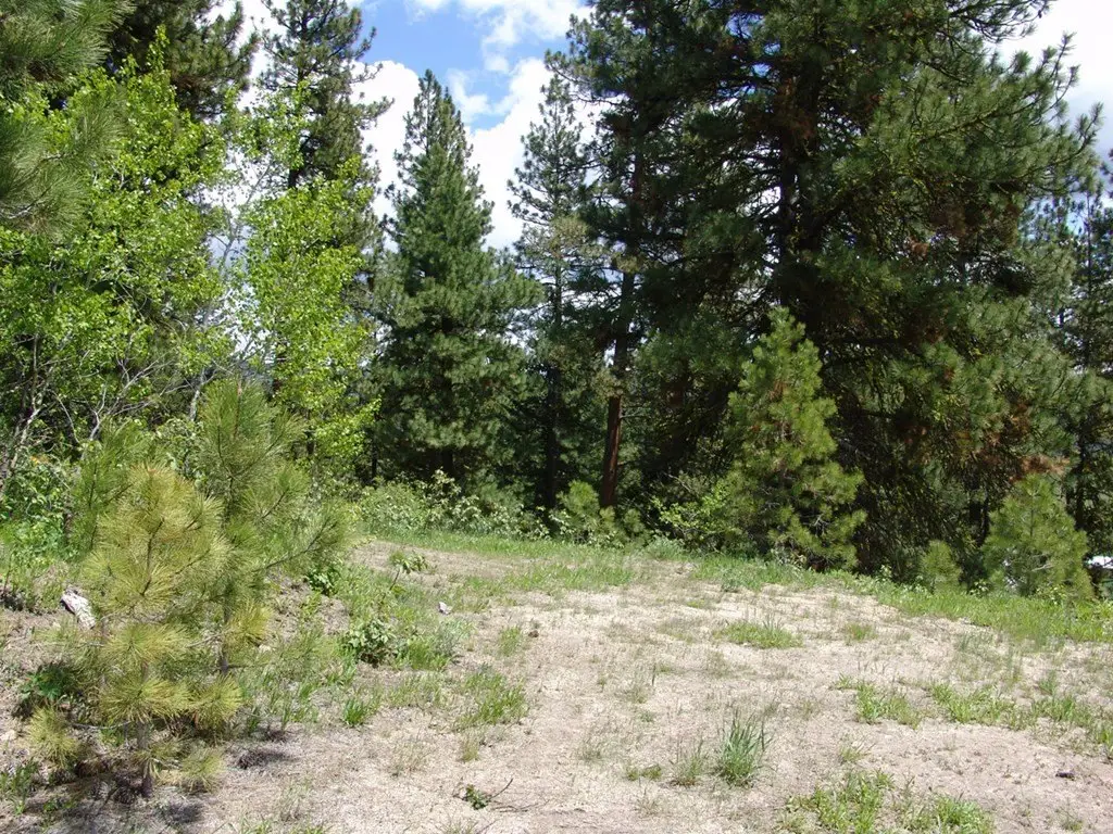 Picture 7