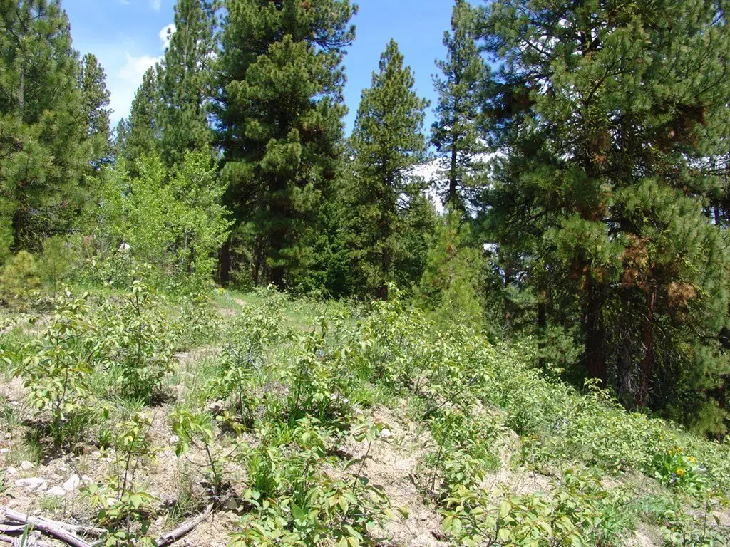 Picture 9