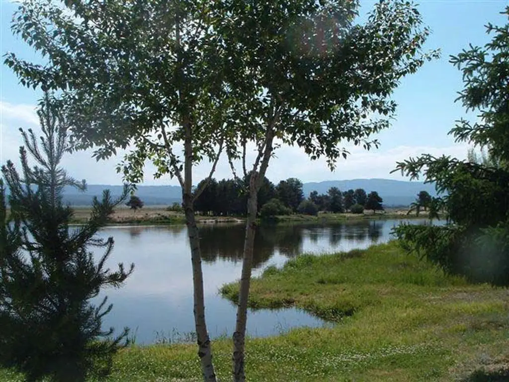Picture 9