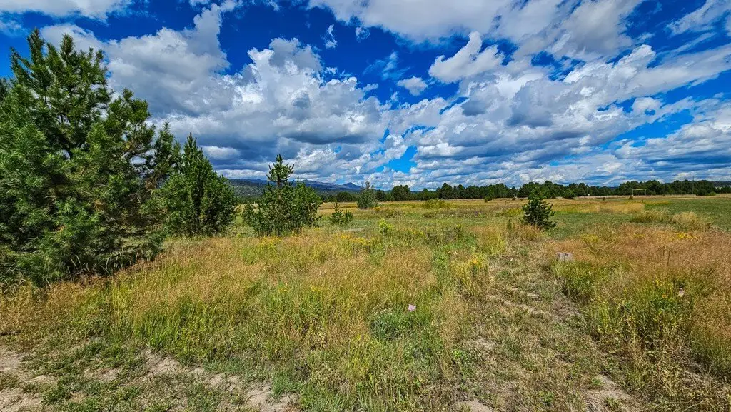 Picture 28