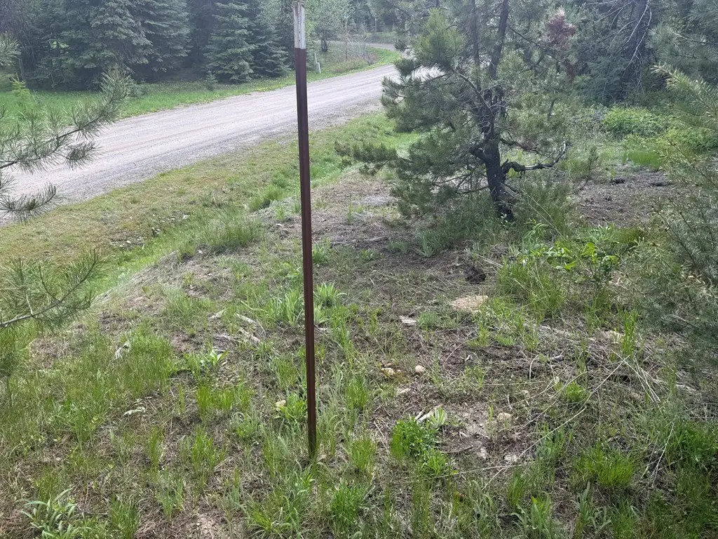 Picture 25